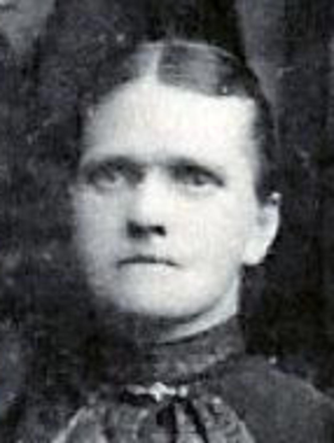 Elizabeth Adams (1855 - 1916) Profile